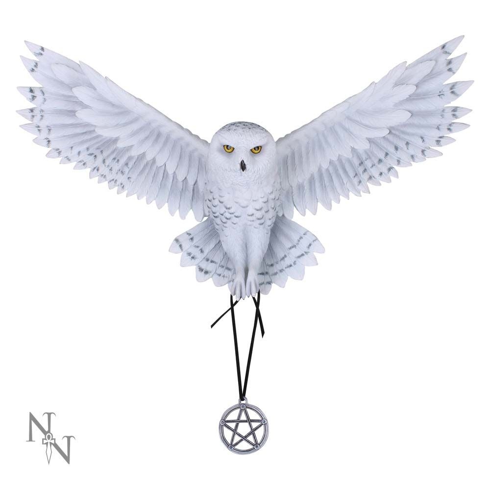 Nemesis Now - Awaken your Magic Wall decoration - Multicolours
